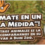 SOMOS INDUSTRIAS SE SUMA A LA CAMPAÑA IMPULSADA POR BUIN ZOO